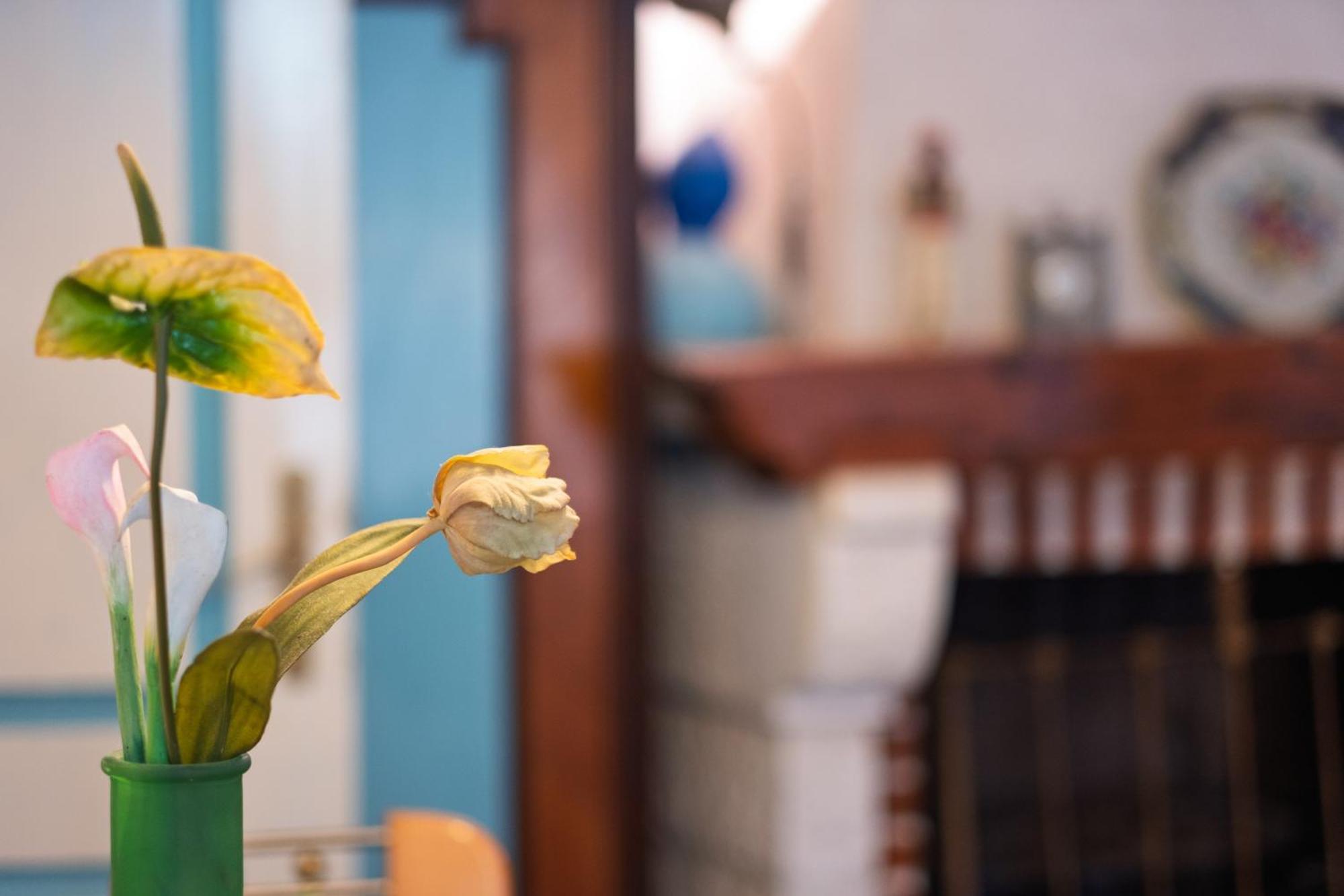 Bluemarine Rooms & Apartments 페라스트 외부 사진